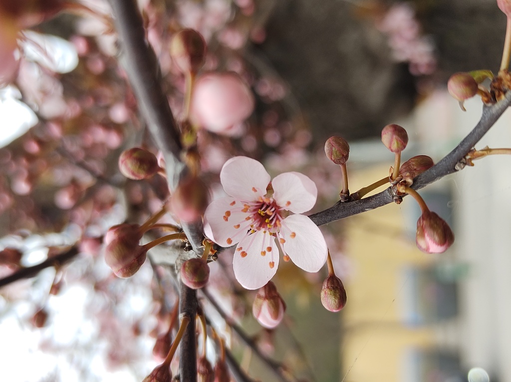 No s'ha trobat l'arxiu